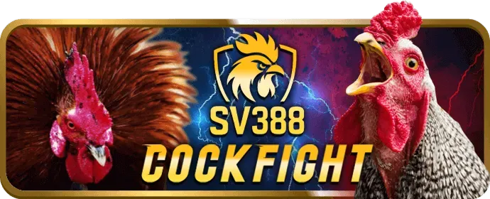 wi88 casino ra mắt tính năng mới
